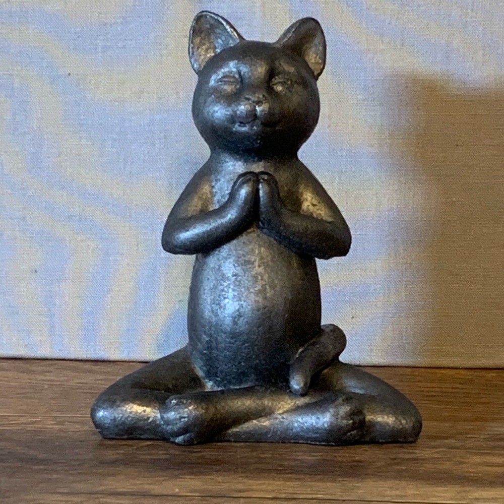 Zen Cat